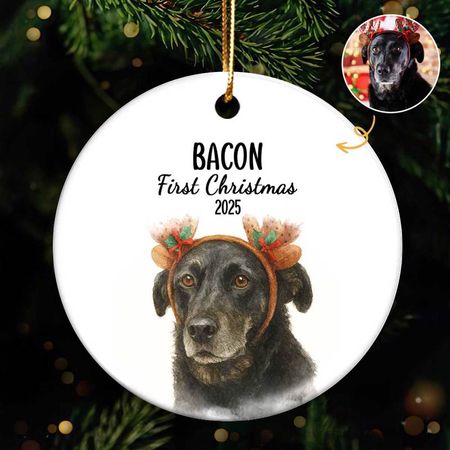 Personalized Watercolor Photo Pet Ornament - First Christmas Ornament Gift for Dog Lover Gift - Custom Forever Loved Memorial Dog Ornament